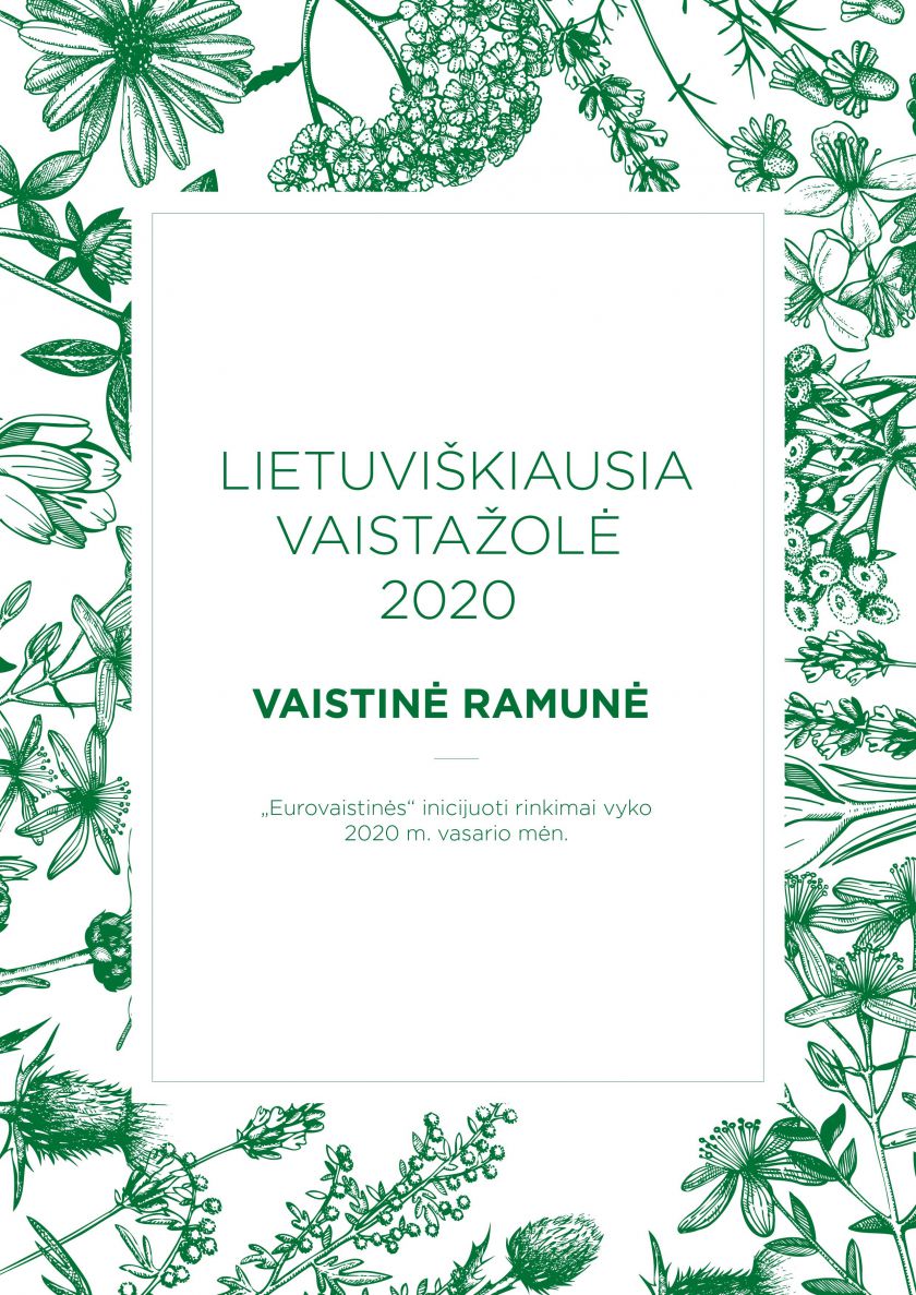 Pirmųjų  „Lietuviškiausios vaistažolės“ rinkimų nugalėtoja – vaistinė ramunė