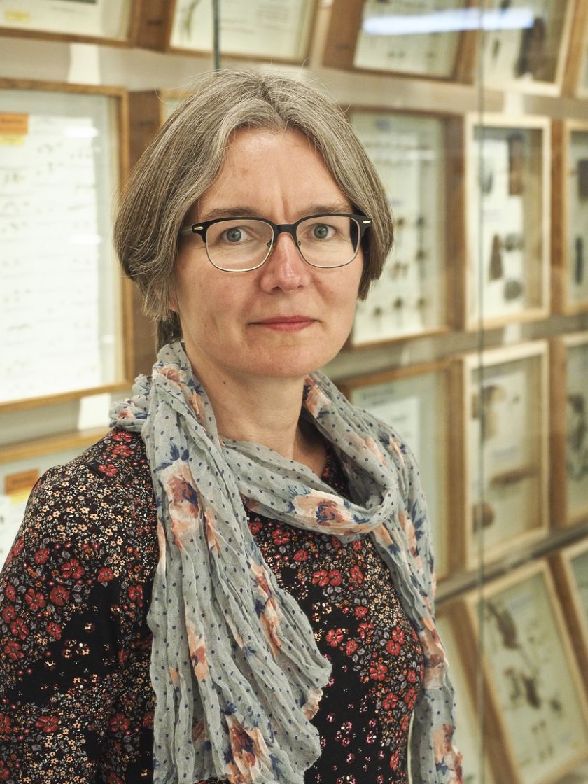 NVI epidemiologė dr. Rūta Petrauskaitė-Everatt: kas bendra tarp koronaviruso, oro taršos ir vėžio