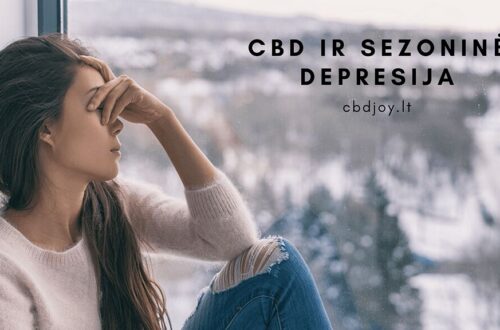 Kasmetinis sezoninis nuotaikų svyravimas nėra svetimas daugeliui, rodo tyrimai.