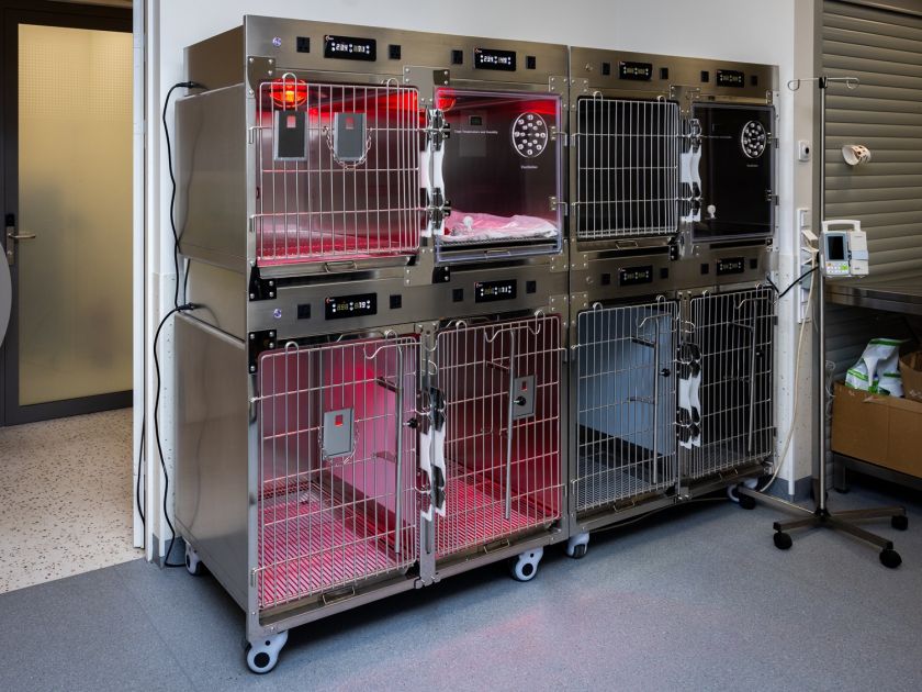 
Lazdynų gyvūnų ligoninėje atidarytas moderniausias Baltijos šalyse intensyviosios terapijos ir slaugos centras                