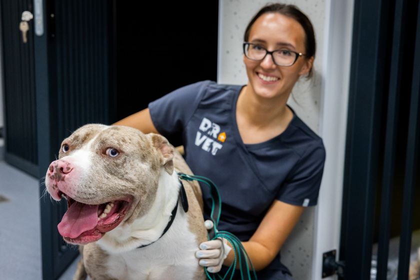 
Lazdynų gyvūnų ligoninėje atidarytas moderniausias Baltijos šalyse intensyviosios terapijos ir slaugos centras                