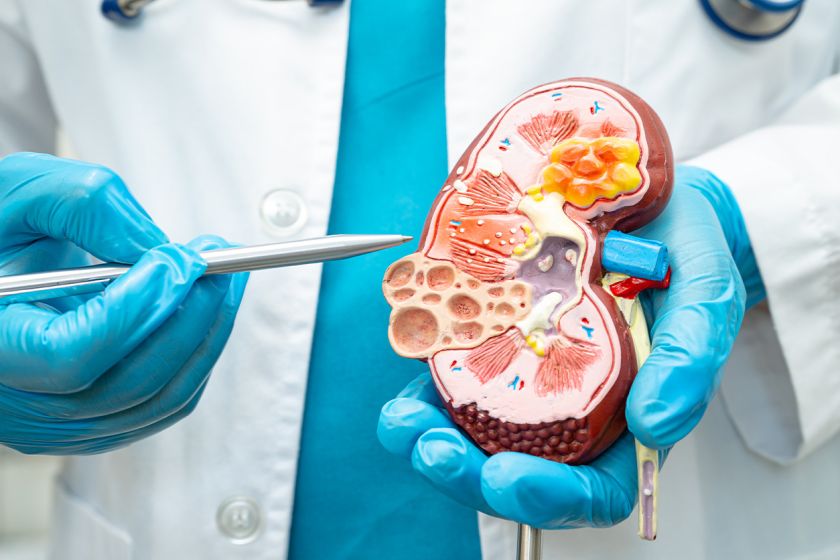 
Gydytoja nefrologė primena: nepamirškime pasirūpinti inkstų sveikata                