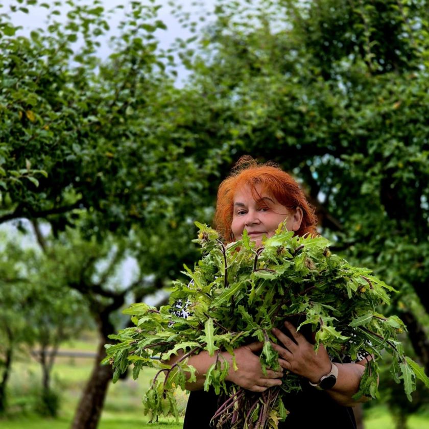 Prasideda arbatų sezonas: patarė, kokias arbatas verta turėti namuose, ir atskleidė, kaip teisingai paruošti arbatą